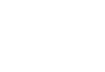 Maple Tree Cattery